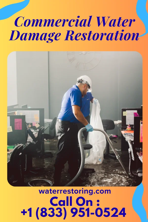 Commercial Water Damage Restoration in Emsworth, PA