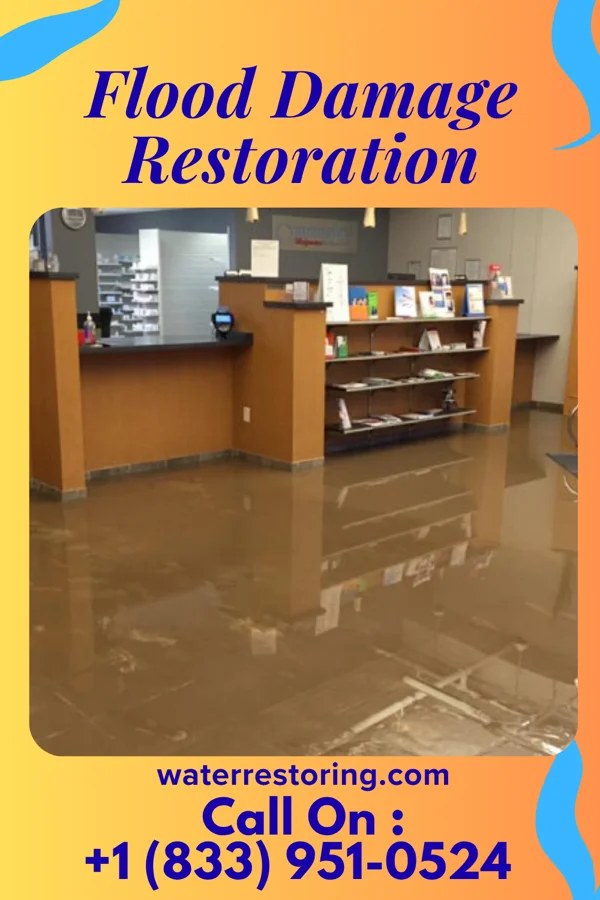 Flood Damage Restoration in Emsworth, PA