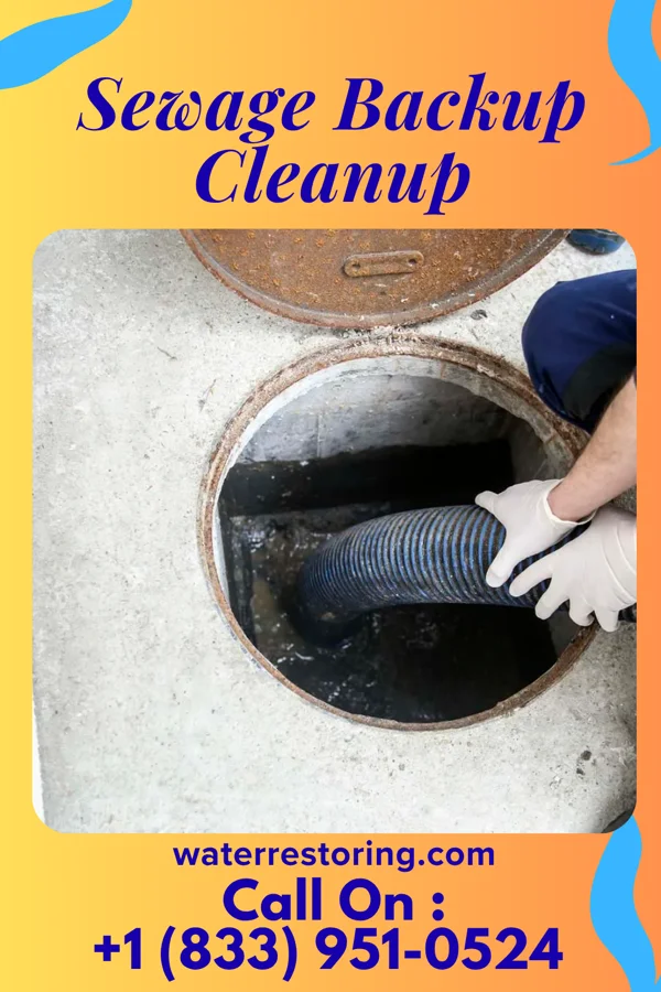 Sewage Backup Cleanup in Emsworth, PA