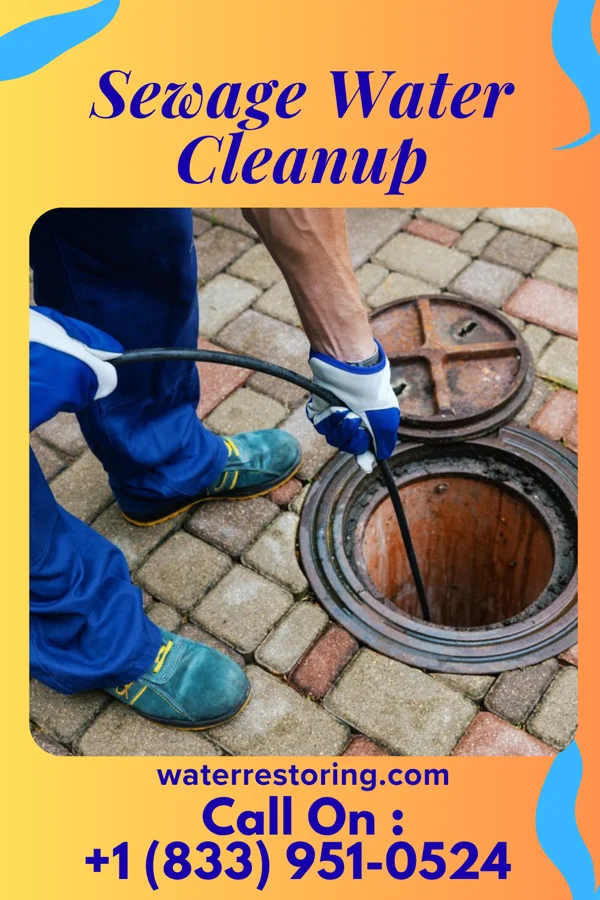 Sewage Water Cleanup in Emsworth, PA